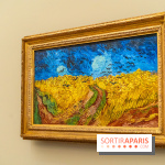 Exposition Van Gogh au Musée d’Orsay - Auvers-sur-Oise, les derniers mois -  A7C3120