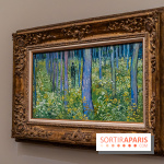 Exposition Van Gogh au Musée d’Orsay - Auvers-sur-Oise, les derniers mois -  A7C3118