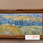 Exposition Van Gogh au Musée d’Orsay - Auvers-sur-Oise, les derniers mois -  A7C3113