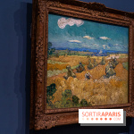 Exposition Van Gogh au Musée d’Orsay - Auvers-sur-Oise, les derniers mois -  A7C3108