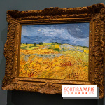 Exposition Van Gogh au Musée d’Orsay - Auvers-sur-Oise, les derniers mois -  A7C3102