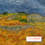 Exposition Van Gogh au Musée d’Orsay - Auvers-sur-Oise, les derniers mois -  A7C3103