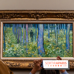 Exposition Van Gogh au Musée d’Orsay - Auvers-sur-Oise, les derniers mois -  A7C3124