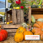 Automne au Potager du Roi - Citrouilles - Halloween