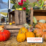 Automne au Potager du Roi - Citrouilles - Halloween