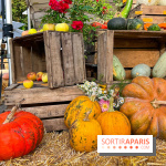 Automne au Potager du Roi - Citrouilles - Halloween