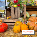 Automne au Potager du Roi - Citrouilles - Halloween