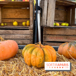 Automne au Potager du Roi - Citrouilles - Halloween