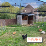 La ferme pédagogique du parc des Chanteraines