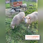 La ferme pédagogique du parc des Chanteraines