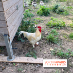 La ferme pédagogique du parc des Chanteraines