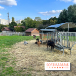 La ferme pédagogique du parc des Chanteraines