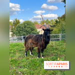La ferme pédagogique du parc des Chanteraines