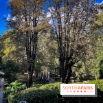 Parc de Bercy visuels - IMG 0166