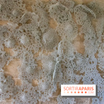 Exposition Entre Les Murs de Tanja Smeets et Karin van Dam Abbaye de Maubuisson