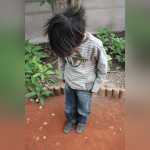 La serre aux papillons