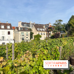 Vignes Montmartre