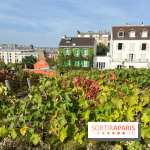 Vignes Montmartre