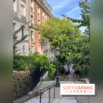 Vignes Montmartre - image00039