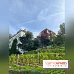 Vignes Montmartre