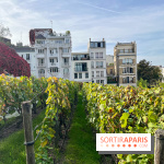 Vignes Montmartre - image00027