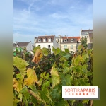 Vignes Montmartre