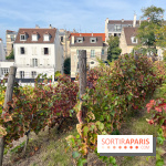 Vignes Montmartre - image00021