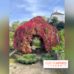 Vignes Montmartre