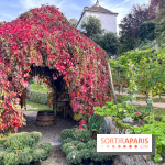 Vignes Montmartre - image00019