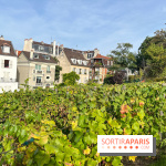 Vignes Montmartre