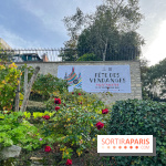 Fête Vendanges 2023 vignes