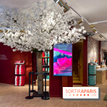 Rituals Mind Oasis - institut de relaxation mentale sur les Champs-Élysées - image00008