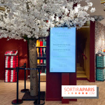 Rituals Mind Oasis - institut de relaxation mentale sur les Champs-Élysées