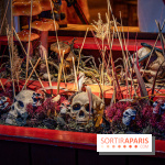 Halloween au Parc Astérix 2023 - Peur sur le Parc -  A7C3829