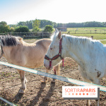 La Prairie The Oasis House chevaux