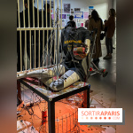 Exposition Hors de la nuit des normes Palais de Tokyo