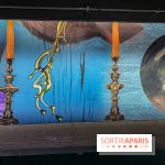 Doppelganger ! expo Jakob Lena Knebl Ashley Hans Scheirl Palais de Tokyo