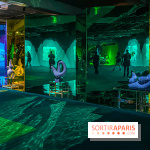 Doppelganger ! expo Jakob Lena Knebl Ashley Hans Scheirl Palais de Tokyo