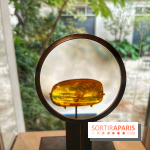 Trésors de la Mer Baltique - IMG 5838