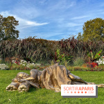 Paris+ par Art Basel 2023 aux Tuileries - Zanele Muholi - The politics of black