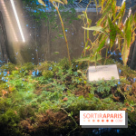 Automne Tropical 2023