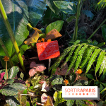 Automne Tropical 2023