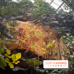 Automne Tropical 2023