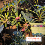 Automne Tropical 2023