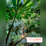 Automne Tropical 2023