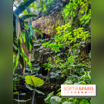 Automne Tropical 2023