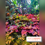 Automne Tropical 2023