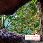 Automne Tropical 2023