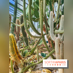 Automne Tropical 2023