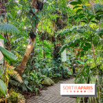 Automne Tropical 2023